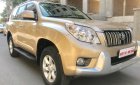 Toyota Prado   2010 - Bán Toyota Prado đời 2010, màu vàng, nhập khẩu chính hãng