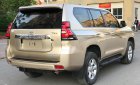 Toyota Prado   2013 - Bán xe Toyota Prado 2013, màu vàng, xe nhập chính hãng