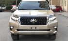 Toyota Prado   2013 - Bán xe Toyota Prado 2013, màu vàng, xe nhập chính hãng