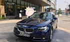 BMW 5 Series 2016 - Bán BMW 5 Series sản xuất 2016, màu xanh lam, xe nhập chính hãng