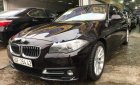 BMW 5 Series   2015 - Cần bán xe BMW 5 Series năm 2015, màu nâu, nhập khẩu nguyên chiếc chính hãng