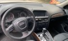 Audi Q5 2010 - Cần bán Audi Q5 model 2011 sản xuất năm 2010, màu vàng, xe nhập, giá chỉ 800 triệu