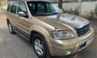 Ford Escape   2005 - Cần bán lại xe Ford Escape 2.3 2005, màu vàng, số tự động