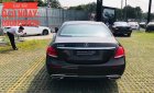 Mercedes-Benz E class 2018 - Bán xe Mercedes E250 sản xuất 2018, màu nâu, nhập khẩu nguyên chiếc