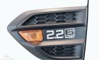 Ford Ranger 2019 - Cần bán gấp chiếc xe  Ford Ranger 2020, màu trắng, nhập khẩu nguyên chiếc - Giá cạnh tranh