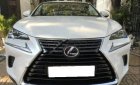 Lexus NX 2019 - Cần bán Lexus NX đời 2019, màu trắng, xe nhập chính hãng