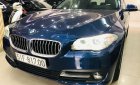 BMW 5 Series 2016 - Cần bán xe BMW 520i năm 2016, màu xanh lam, nhập khẩu