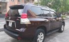 Toyota Prado 2009 - Cần bán xe Toyota Prado 2.7 AT đời 2009