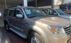 Ford Everest MT 2009 - Bán Ford Everest MT sản xuất 2009, màu bạc