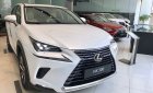 Lexus NX 300 2019 - Lexus NX300 mẫu xe chuyên dụng thể thao cao cấp trong phố