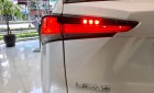 Lexus NX 300 2019 - Lexus NX300 mẫu xe chuyên dụng thể thao cao cấp trong phố