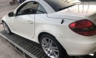 Mercedes-Benz SLK class 2010 - Cần bán lại xe Mercedes đời 2010, màu trắng, nhập khẩu, 950 triệu