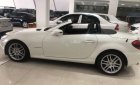 Mercedes-Benz SLK class 2010 - Cần bán lại xe Mercedes đời 2010, màu trắng, nhập khẩu, 950 triệu