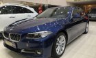 BMW 5 Series 520i 2017 - Bán ô tô BMW 5 Series 520i đời 2017, màu xanh lam, xe nhập