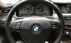 BMW 7 Series 2010 - Bán BMW 7 Series 750Li đời 2010, nhập khẩu nguyên chiếc, giá tốt