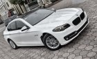 BMW 5 Series 2015 - Cần bán lại xe BMW 5 Series 520i 2015, màu trắng, nhập khẩu nguyên chiếc