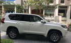 Toyota Land Cruiser   2019 - Bán Toyota Prado VX sản xuất 2019, xe nhà đi siêu lướt