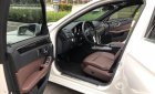 Mercedes-Benz E class E250 2014 - Chính chủ bán Mer E250 Sunroof trắng Ngọc Trinh 2014