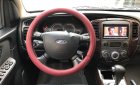 Ford Escape 2010 - Bán Ford Escape AT đời 2010, màu xám, odo 50.000 km