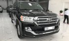 Toyota Land Cruiser 5.7 V8 2019 - Bán Toyota Land Cruiser 5.7 V8 sản xuất năm 2019, màu đen, nhập khẩu