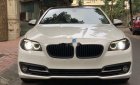 BMW 5 Series 2015 - Bán BMW 5 Series 520i năm 2015, màu trắng, xe nhập