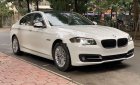 BMW 5 Series 2015 - Bán BMW 5 Series 520i năm 2015, màu trắng, xe nhập