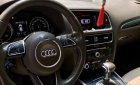 Audi Q5 2013 - Bán Audi Q5 năm sản xuất 2013, màu đen, xe nhập