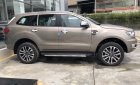 Ford Everest Titanium 2019 - Ford Everest Titanium, nhập khẩu, số khung 2020