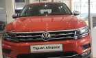 Volkswagen Tiguan 2019 - Cần bán xe Volkswagen Tiguan năm 2019, nhập khẩu nguyên chiếc