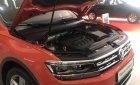 Volkswagen Tiguan 2019 - Cần bán xe Volkswagen Tiguan năm 2019, nhập khẩu nguyên chiếc