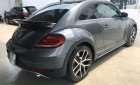 Volkswagen Beetle 2017 - Cần bán Volkswagen Beetle đời 2017, màu xám, nhập khẩu nguyên chiếc