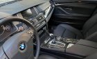 BMW 5 Series 520i   2015 - Cần bán xe BMW 5 Series 520i đời 2015, xe nhập chính chủ