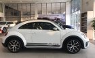 Volkswagen Beetle   2019 - Beetle Dune đẳng cấp xe Đức giá ưu đãi nhất tháng 3, xe nhập khẩu cuối cùng cập cảng