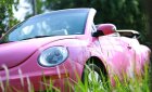 Volkswagen Beetle   2009 - Bán Volkswagen Beetle sản xuất năm 2009, xe mui trần xếp điện