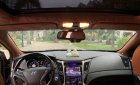 Hyundai Sonata 2010 - Bán Hyundai Sonata Y20 năm 2010, màu đen, nhập khẩu, 455tr