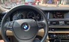 BMW 5 Series  520i   2015 - Cần bán BMW 5 Series 520i năm sản xuất 2015, màu đen, nhập khẩu