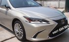 Lexus ES  250  2019 - Bán Lexus ES 250 2019, nhập khẩu chính chủ