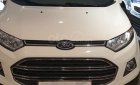 Ford EcoSport 2017 - Bán giá thấp chiếc Ford EcoSport, sản xuất 2017, giao nhanh tận nhà