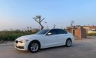 BMW 3 Series 2016 - Cần bán BMW 3 Series năm 2016, màu trắng, nhập khẩu