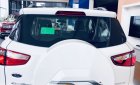 Ford EcoSport Ambient 2020 - Bán Ford EcoSport Ambient đời 2020, 493 triệu