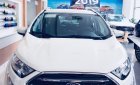 Ford EcoSport Ambient 2020 - Bán Ford EcoSport Ambient đời 2020, 493 triệu