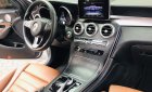 Mercedes-Benz GLC-Class  300 2017 - Bán ưu đãi với chiếc Mercedes Benz GLC 300, sản xuất 2017, màu bạc, giao nhanh
