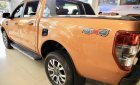 Ford Ranger Wildtrak 4x4 2019 - Bán Ford Ranger Wildtrak 4x4 sản xuất 2019, xe nhập, 820tr