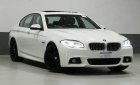 BMW 5 Series   2015 - Bán ô tô BMW 520i 2015, màu trắng, nhập khẩu, 900 triệu