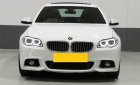 BMW 5 Series   2015 - Bán ô tô BMW 520i 2015, màu trắng, nhập khẩu, 900 triệu