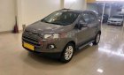 Ford EcoSport  Titanium   2014 - Cần bán gấp Ford EcoSport Titanium 2014, màu nâu, nhập khẩu nguyên chiếc như mới