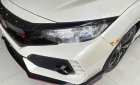 Honda Civic 2017 - Cần bán xe Honda Civic sản xuất năm 2017, xe nhập, 770 triệu