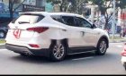 Hyundai Santa Fe 2019 - Bán Hyundai Santa Fe đời 2019, màu trắng, nhập khẩu, giá 750tr