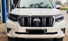 Toyota Prado 2010 - Bán Toyota Prado năm sản xuất 2010, màu trắng, nhập khẩu