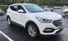 Hyundai Santa Fe   2018 - Bán Hyundai Santa Fe đời 2018, màu trắng, chính chủ